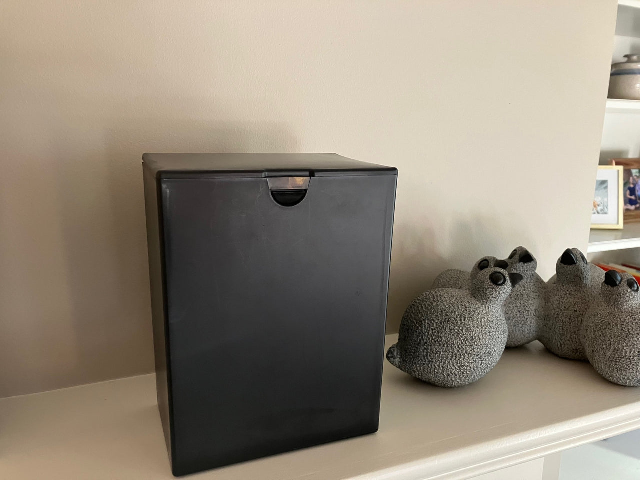 Temporary Plastic Cremation Box